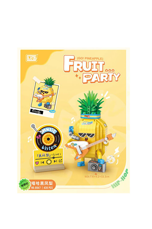 ANANAS YAPI SETİ - 1