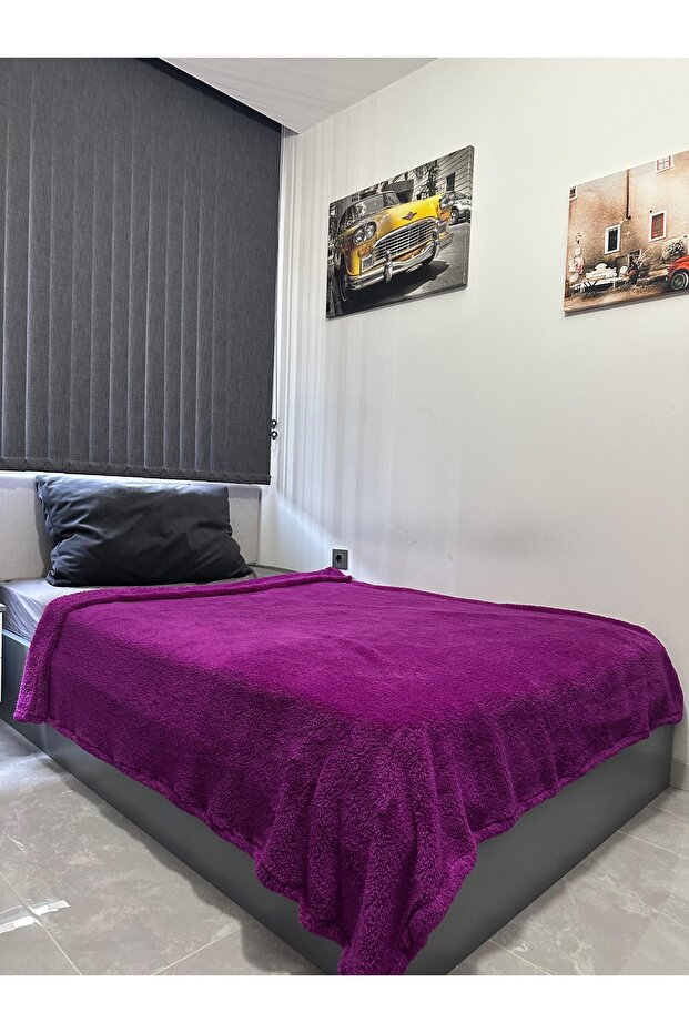 160*190 Wellsoft-Polar Single-Person Purple Bedspread-Blanket