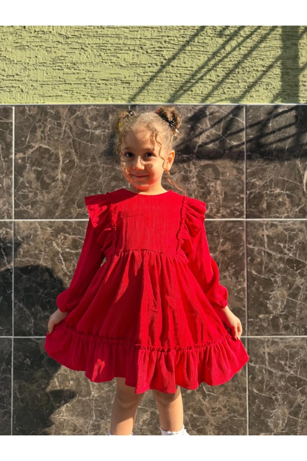 Baby Girl Dress Long Sleeve Ruffle Detail Birthday Party Wedding Special Occasion Evening Dress Girls' Clothing