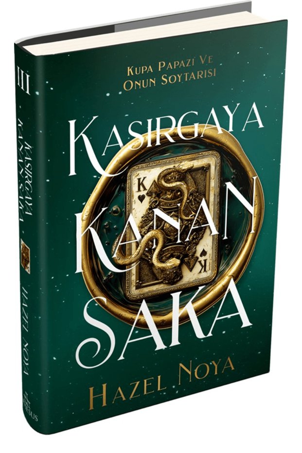 Kasırgaya Kanan Saka 3 / Hazel Noya / / 9786255701213