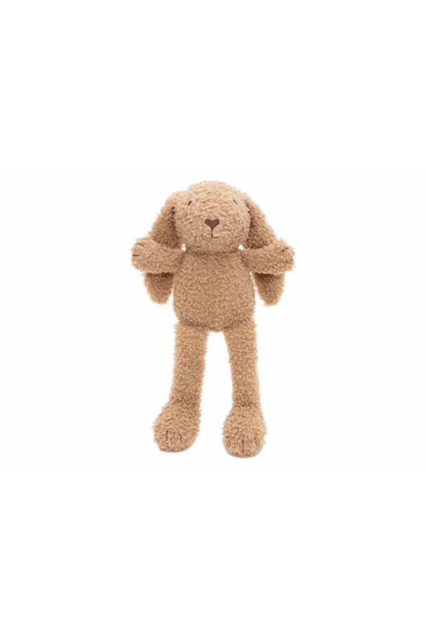 Teddy Bear Biscuit - 2