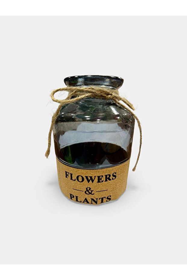 Transparent Gray Glass Vase 14 cm