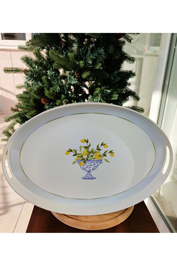 Damien Oval Tepsi - 4