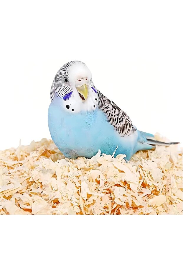 wood shaving for bird and animals