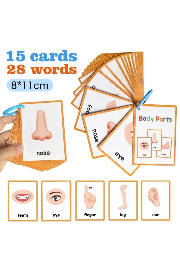 15 Cards 15 Cards Children Body Parts Cognitive Card Montessori toys Flash Cards for kid Education E