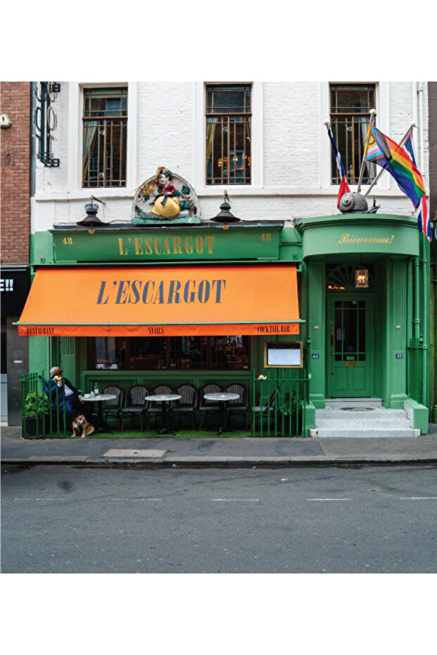 Dunk Low SB Pro “Escargot” - 5