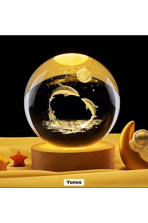 Dolphin Globe - 1