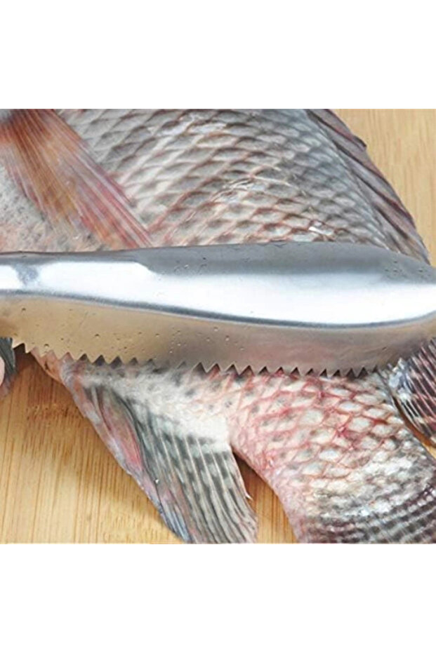 Practical Fish Scale Scraper Horse - 3