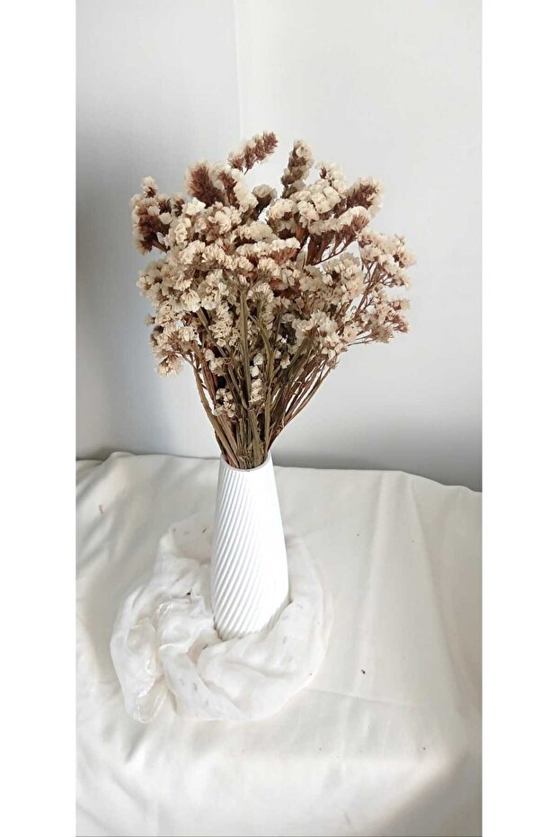 Statis Şoklanmış Kuru Bitki - 3