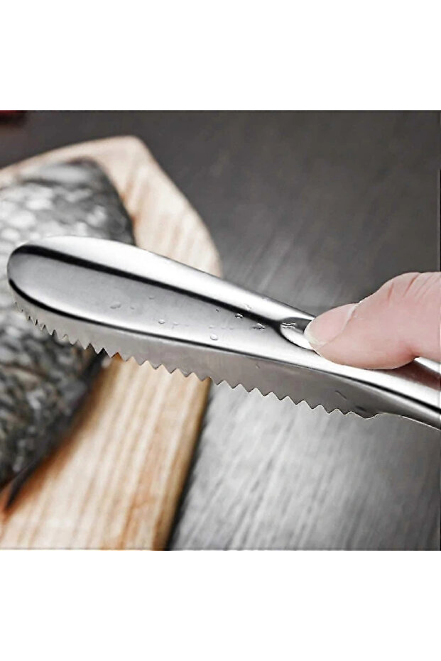 Practical Fish Scale Scraper Horse - 4