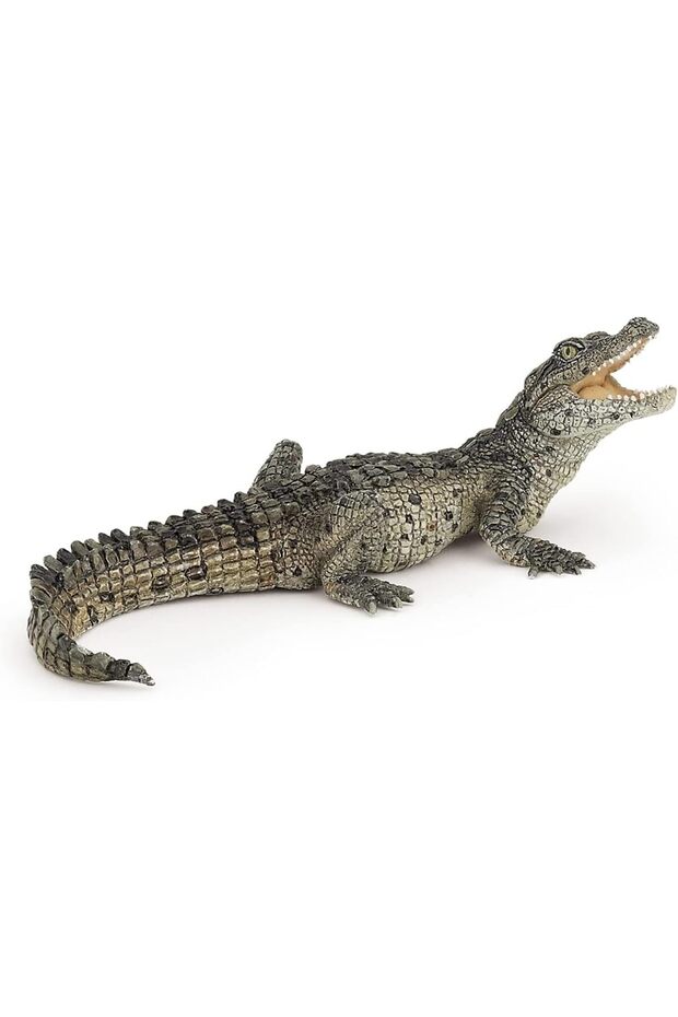 Baby Crocodile Figure, Multicolor