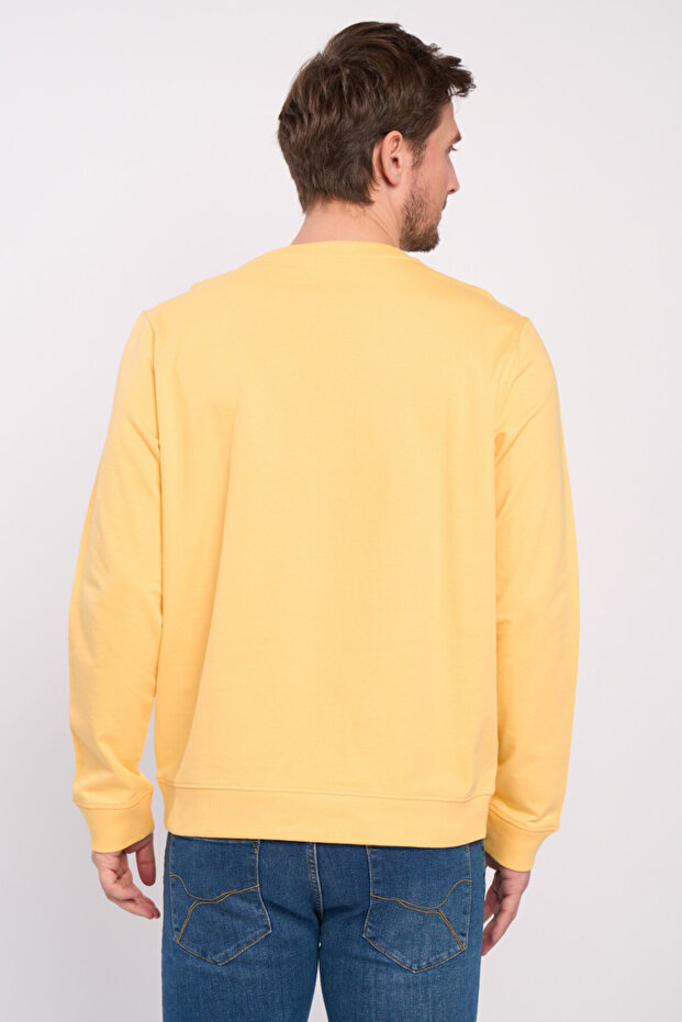 Men's sweatshirt in solid color - 3