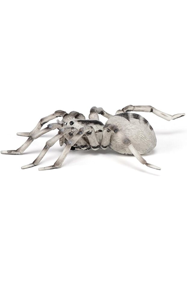 مجسم عنكبوت الرتيلاء، متعدد الألوان - 5