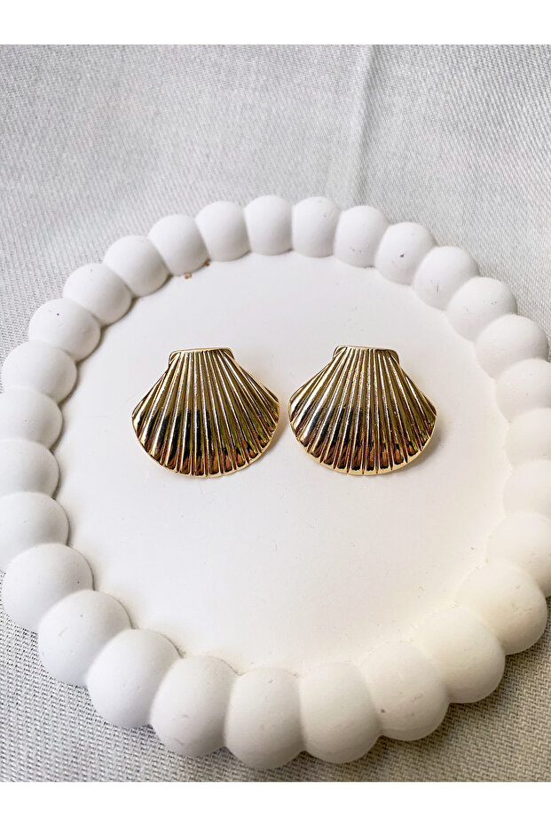 Oyster Sea Shell Shell Model Steel Women's Earrings