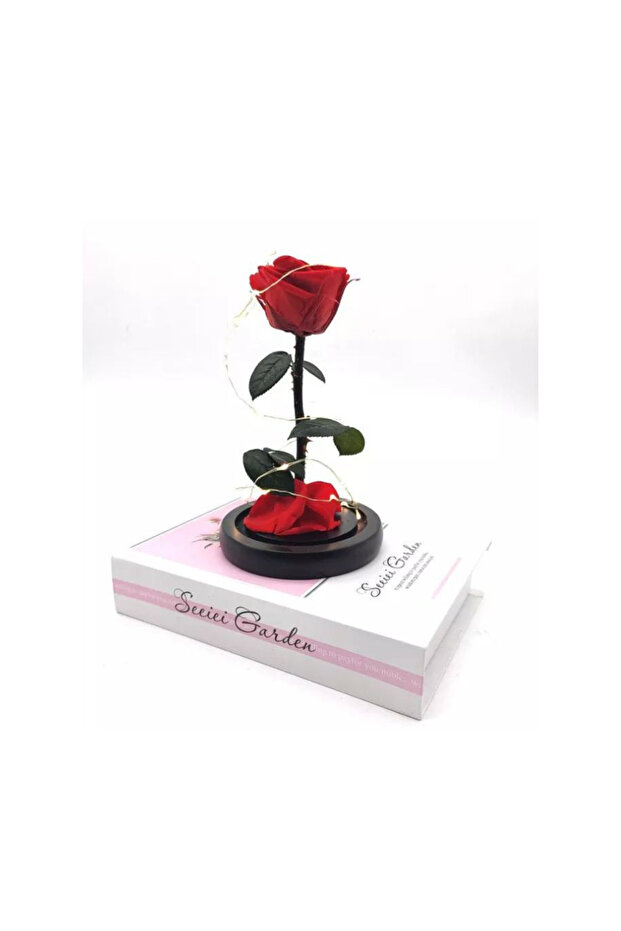 Preserved Rose Enchanted Rose Red Silk Rose in Glass Dome with LED Lights Pine Base