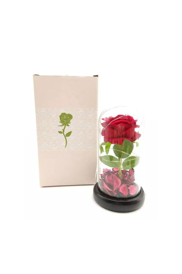 Enchanted Red Rose with Petals in Glass Dome Gifts for Women Valentine’s Day