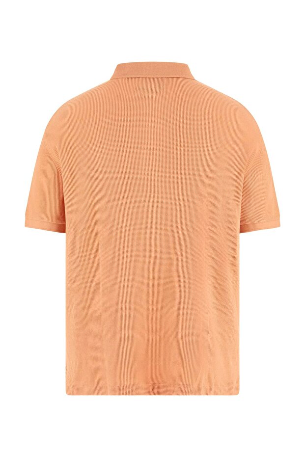 Waffle Erkek Regular Fit Polo T-Shirt - 2