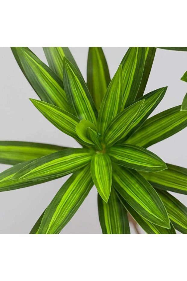 شجر صناعي LEAFY LEAFY Artificial Tree - 2