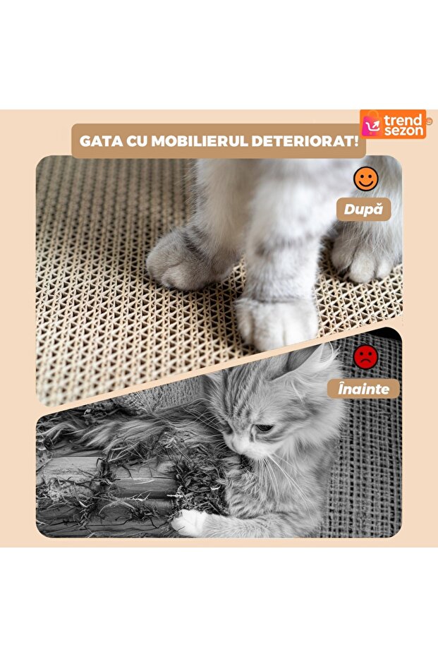 Triangle Cat Set - 4