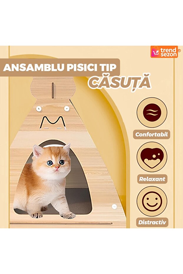 Triangle Cat Set - 2