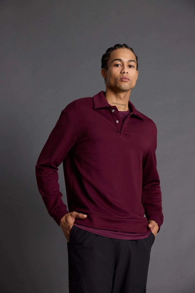 G3596Axbr34 Claret Red Standard Fit Polo Neck Modal Sports Sweatshirt