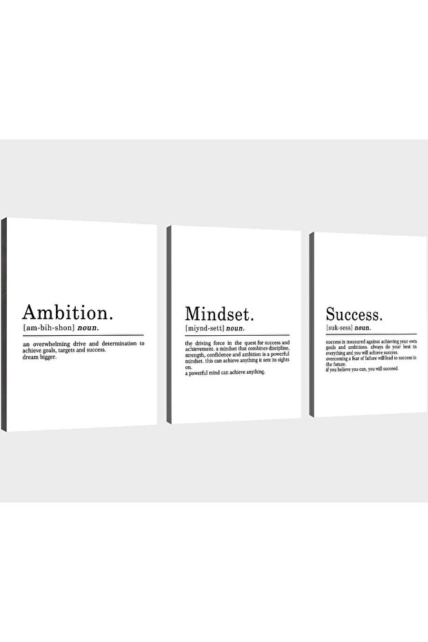 Mindset Quote Canvas 40x60 cm Wrapped Framed Set of 3