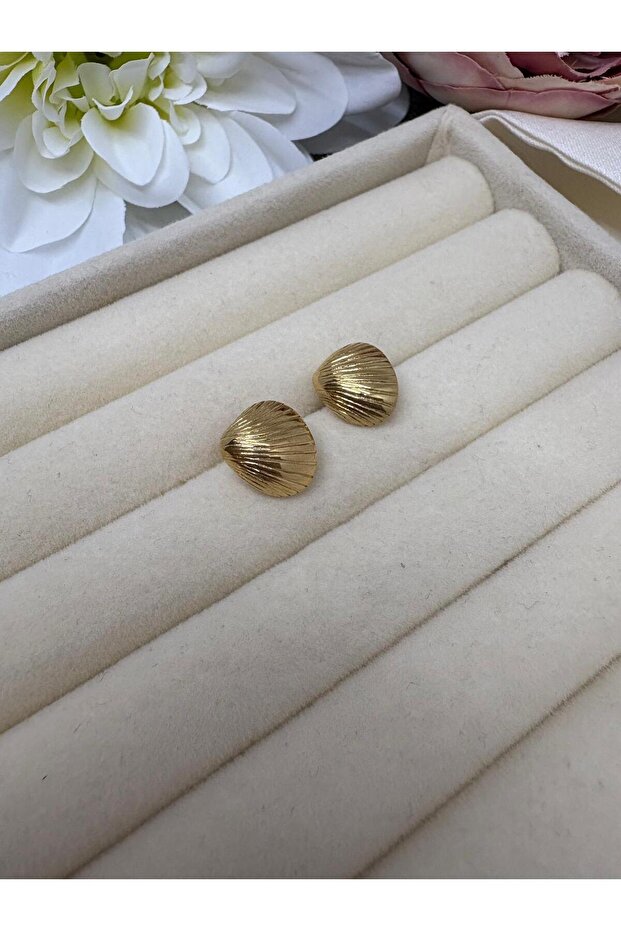 Oyster Design Convex Gold Steel Earrings