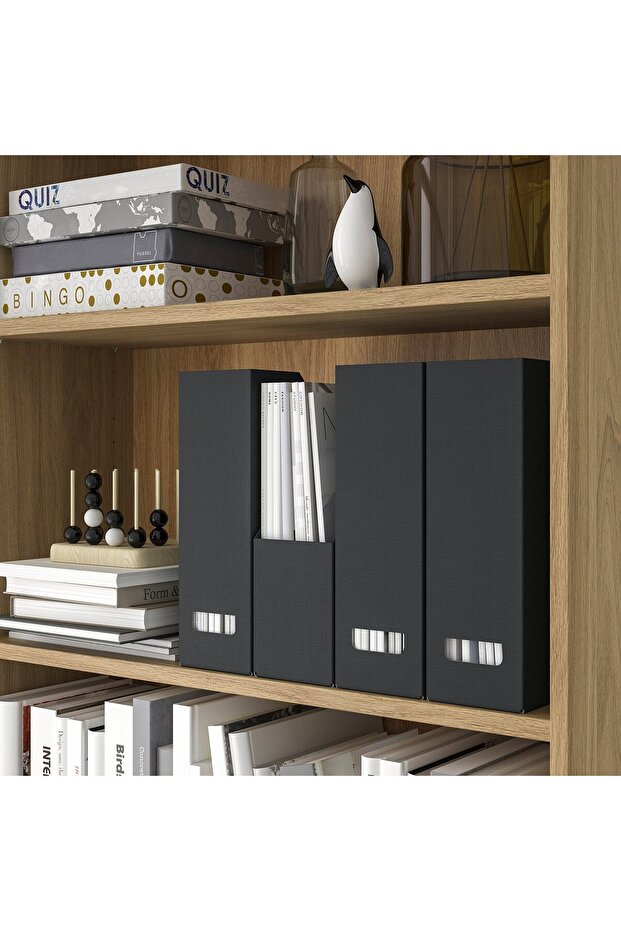 ملف مجلة، أنثراسيت - 2