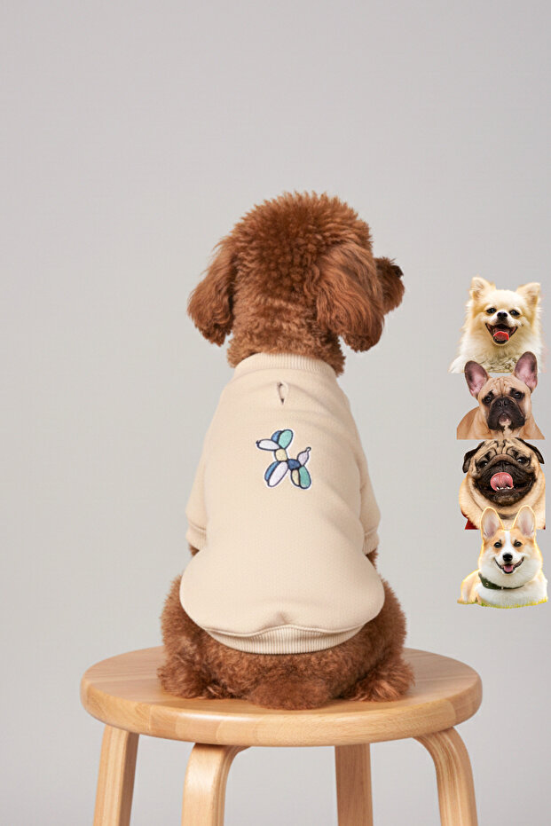 Embroidery Printed Small Breed Dog Sweatshirt, Balloon Dog Clothing