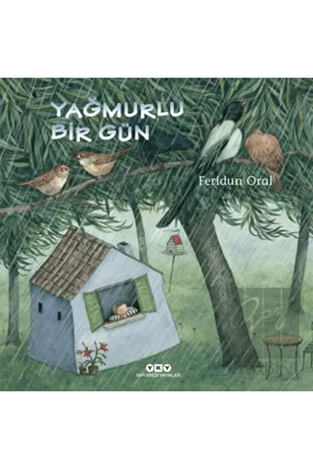 Yağmurlu Bir Gün kitabı - Feridun Oral -
