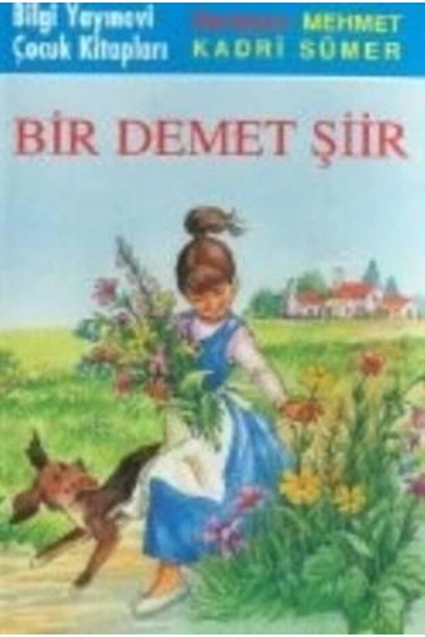 Bir Demet Şiir- Mehmet Kadri Sümer