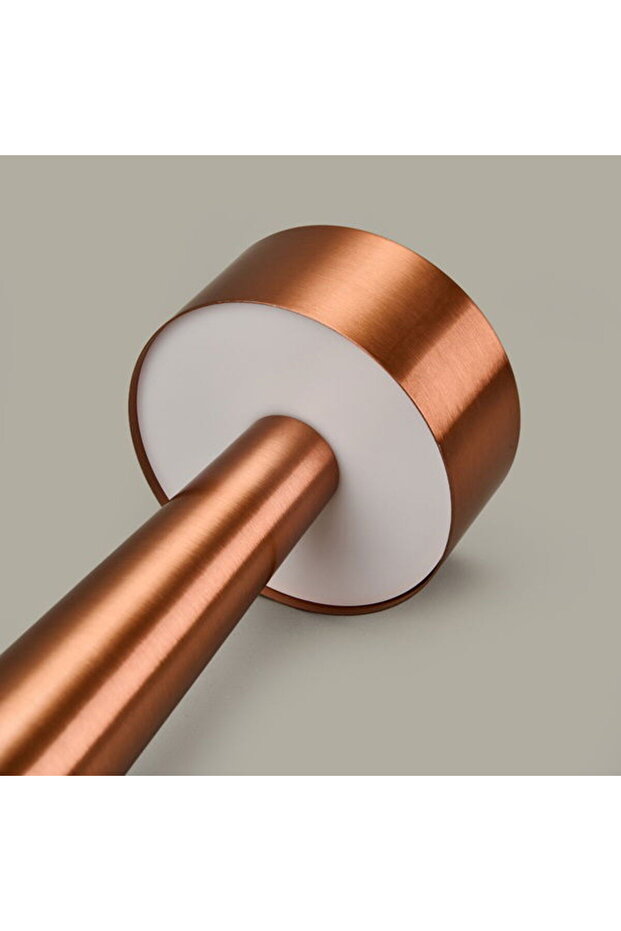 Dalya Masa Lambası - Rose - 6