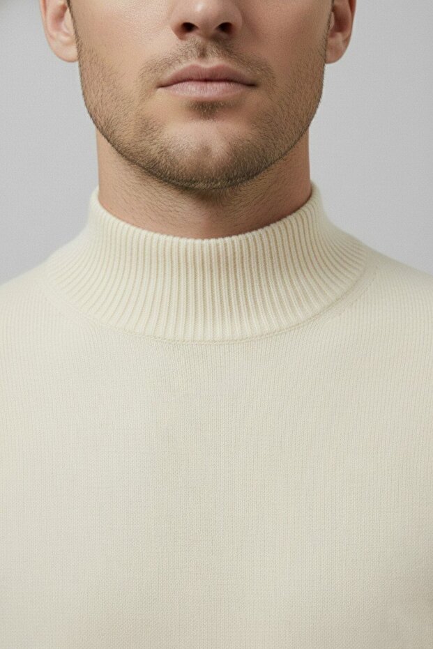 Men's Slim Fit Soft Textured Anti-Pilling Half Turtleneck Knit Sweater