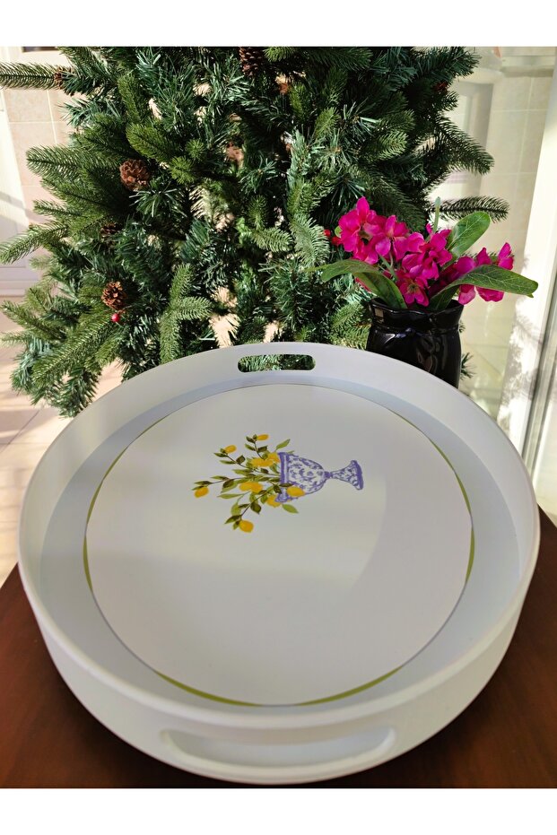 Damien Oval Tepsi - 6