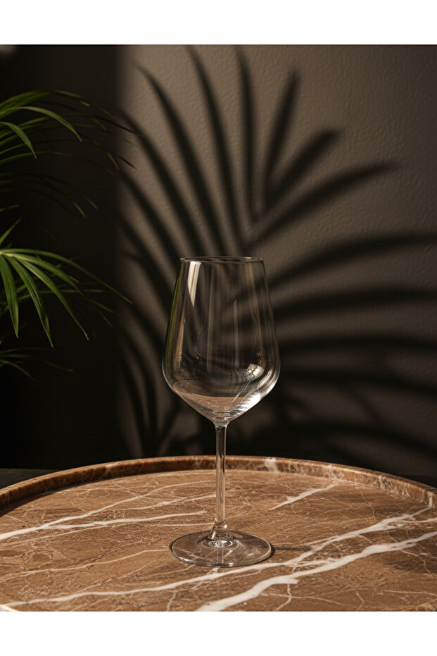 Alegra 6’lı Elegans Kadeh Seti - 2