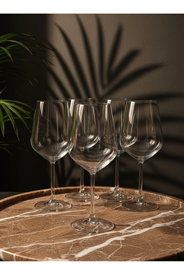 Alegra 6’lı Elegans Kadeh Seti - 3