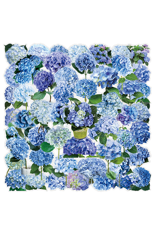 50pcs 50PCS Hydrangea Graffiti PET Stickers Fresh Flower Plant Decoration Water Cup Notebook Station