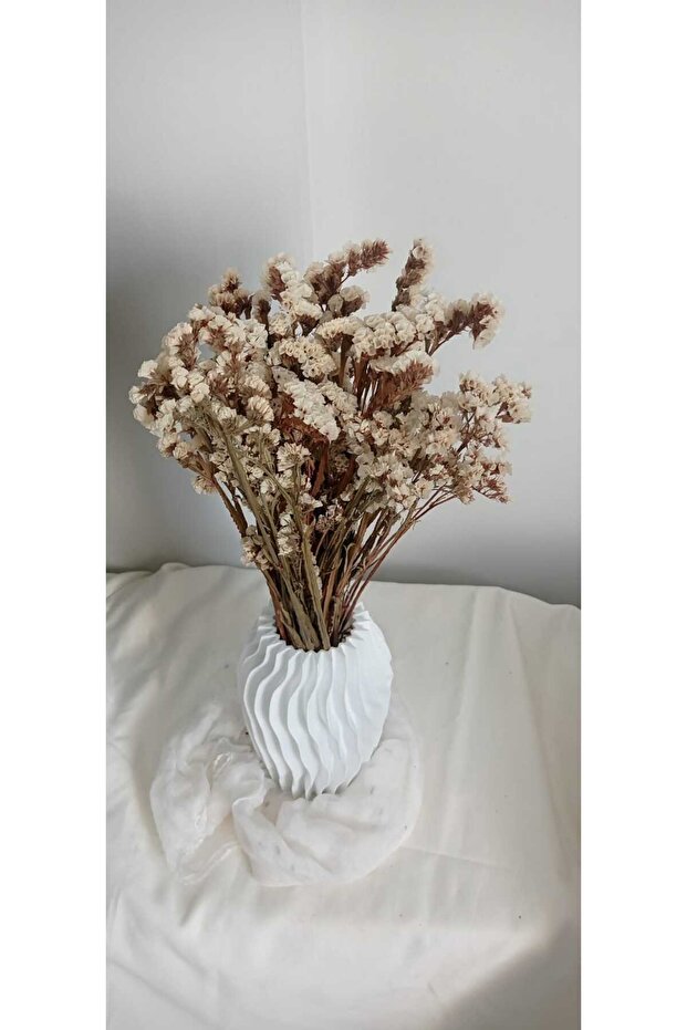 Statis Şoklanmış Kuru Bitki - 5