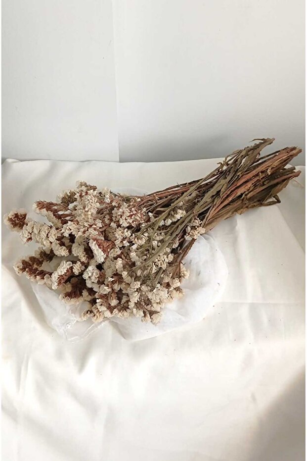 Statis Şoklanmış Kuru Bitki - 2