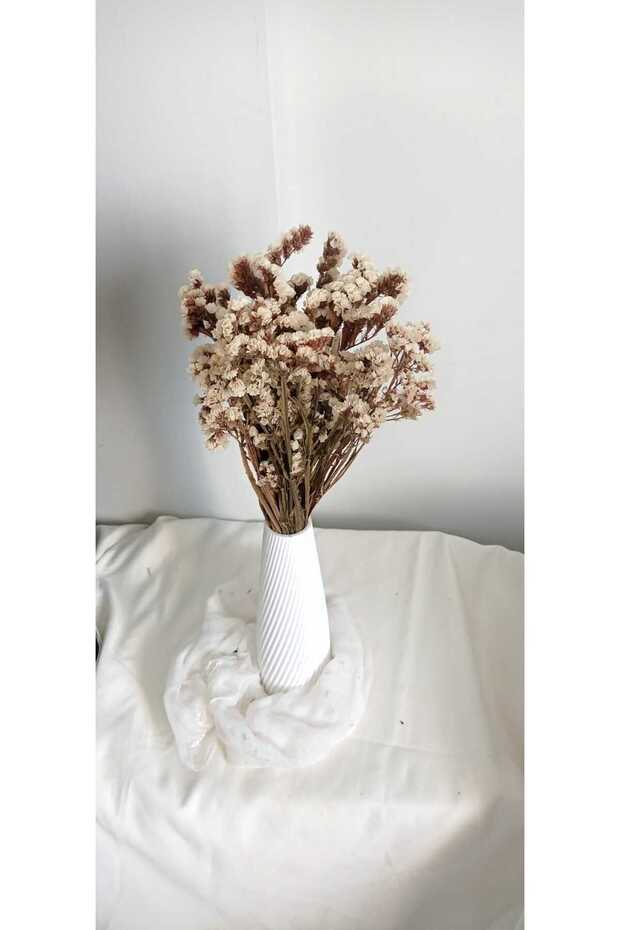 Statis Şoklanmış Kuru Bitki - 6