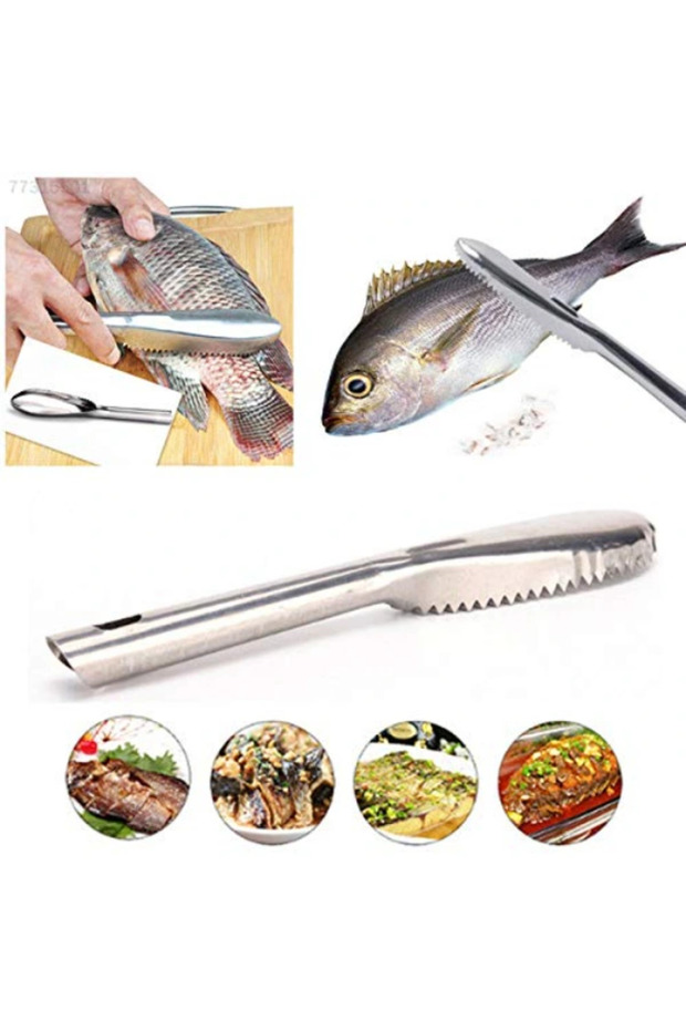 Practical Fish Scale Scraper Horse - 5