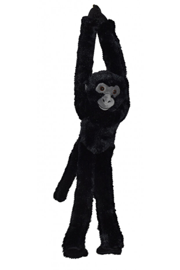 Black Hanging Monkey - 1