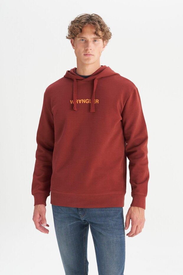 Cotton Regular Fit Regular Cut Hooded Sweatshirt with Logo Detail