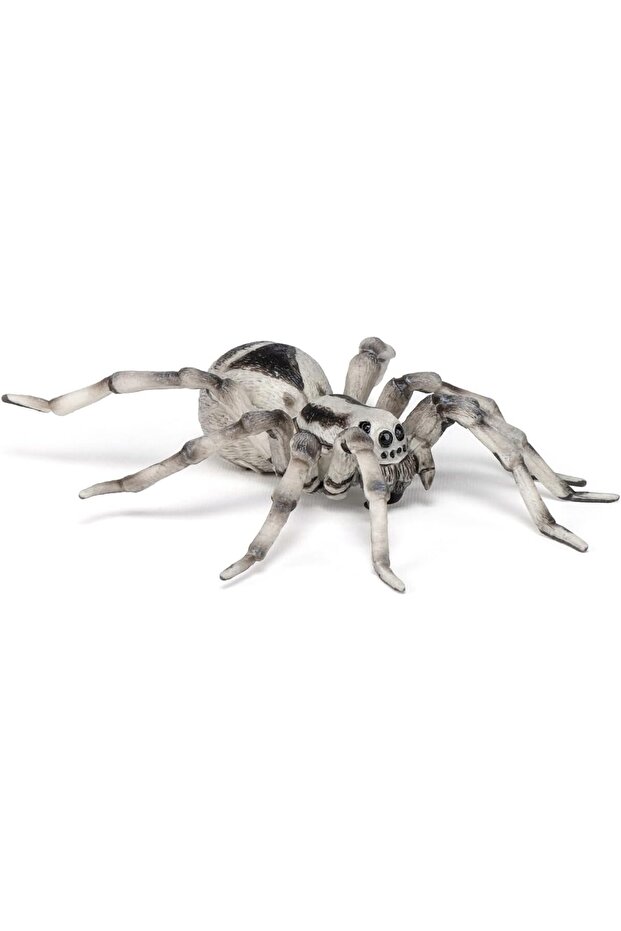 مجسم عنكبوت الرتيلاء، متعدد الألوان - 2