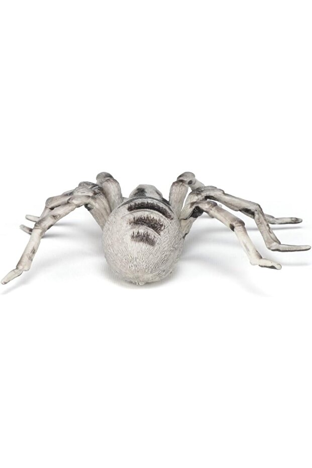 مجسم عنكبوت الرتيلاء، متعدد الألوان - 6