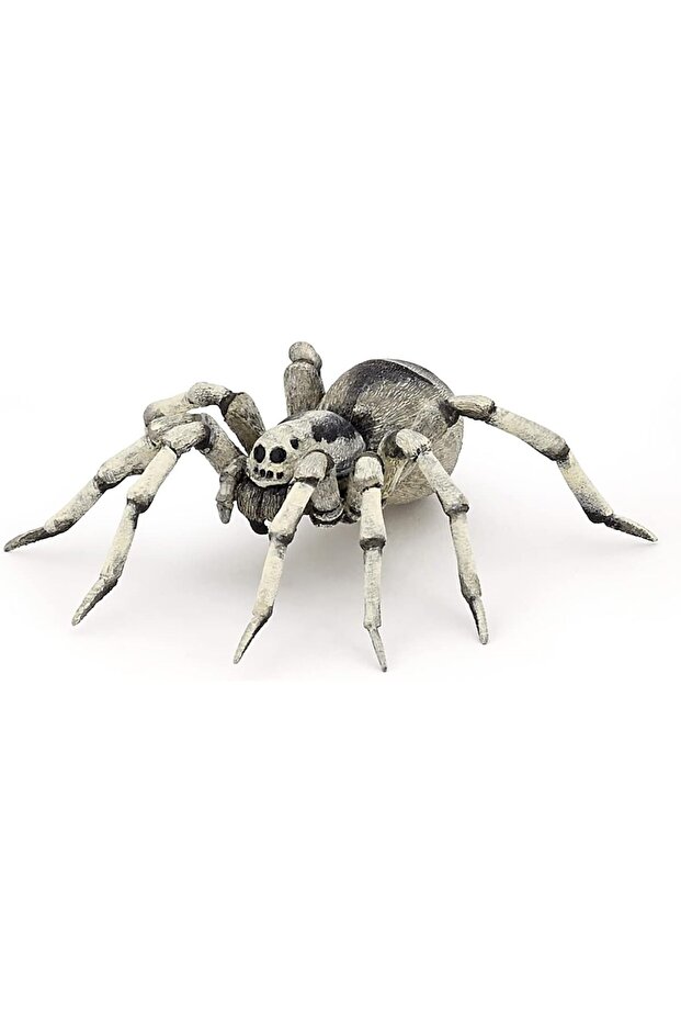 مجسم عنكبوت الرتيلاء، متعدد الألوان - 1