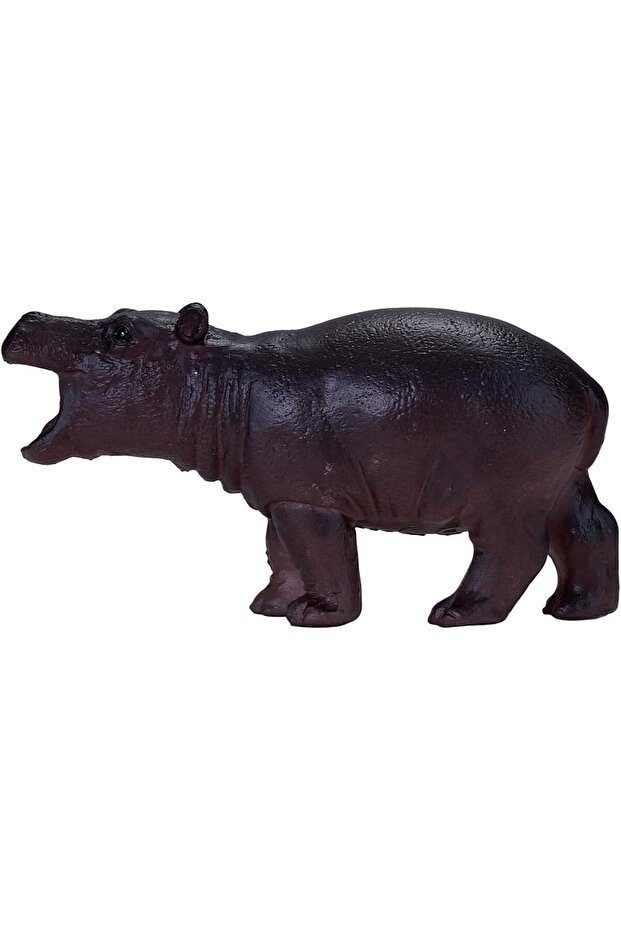Fun Hippo Baby