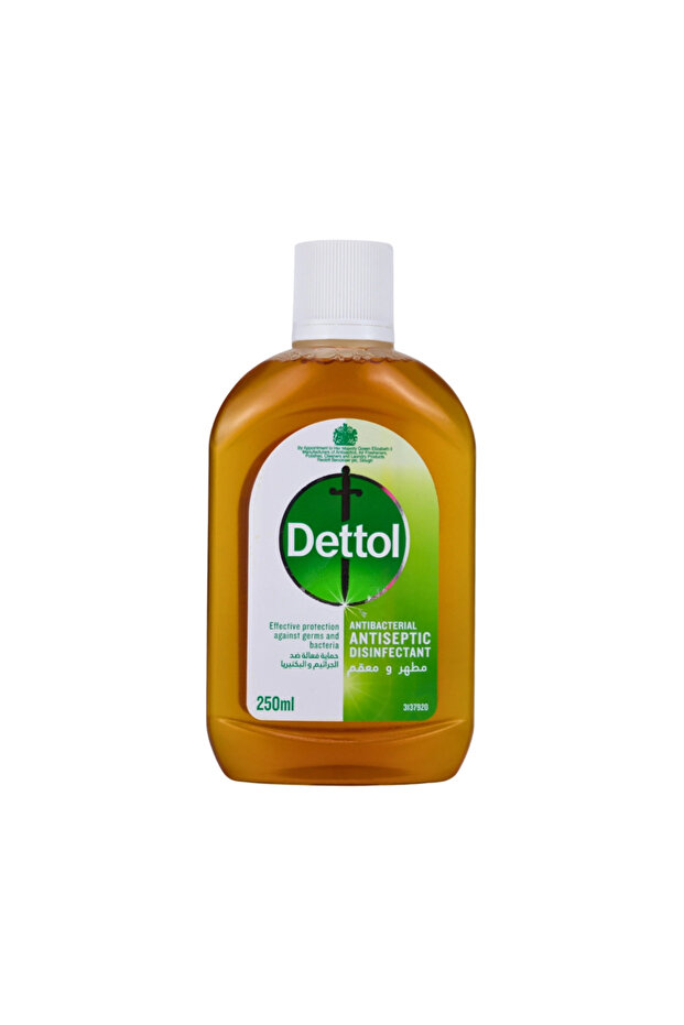 Antibacterial Antiseptic Disinfectant Liquid Effective Protection- 250ml