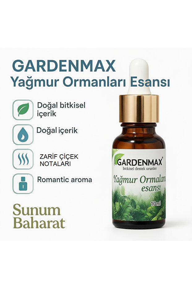 Buhurdanlık Esansı ( Yağmur Ormanı )