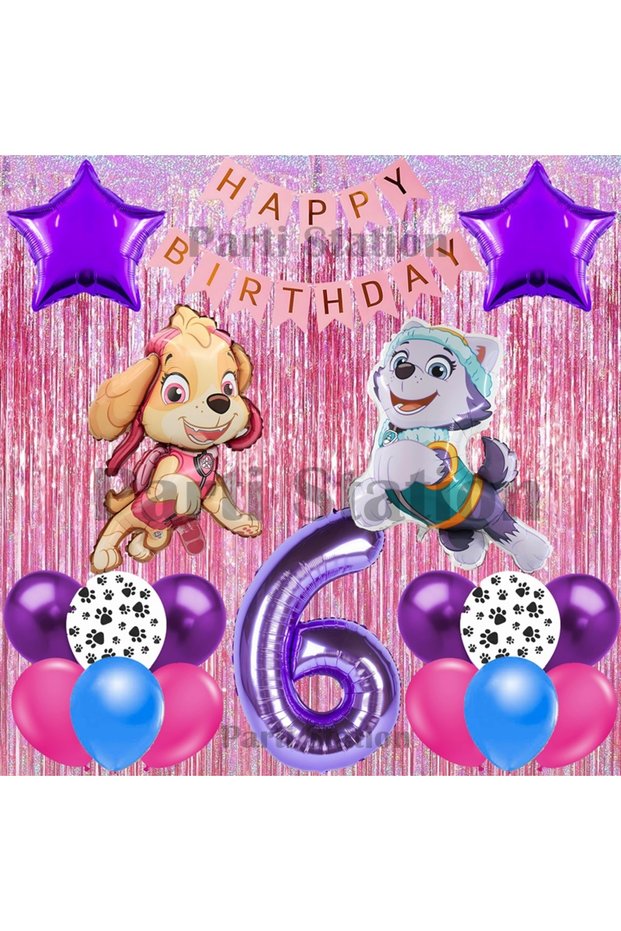 Paw Patrol Skye and Everest Concept 6 Year Old Birthday Pink Tassel Party Balloon Set